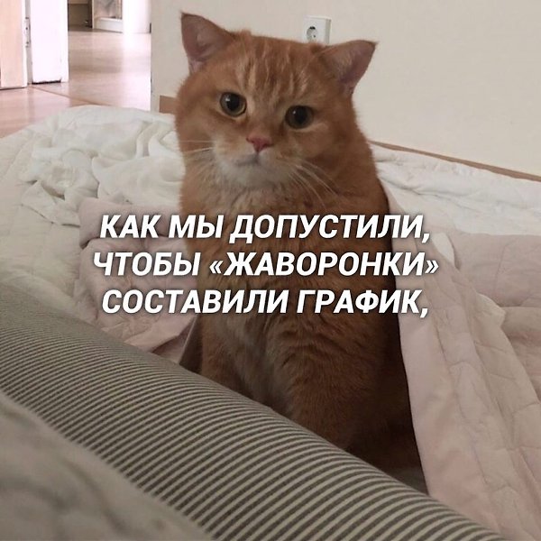 Ta o, a o pooo!