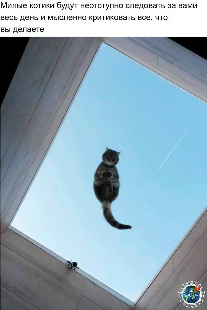 10 p oa e ao oo, o  e e ocaee.)  paa. - 5