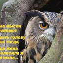 ���� ���������, �����������, 51 ��� - ��������� 10 �������� 2020 � ������ ������ ��������