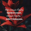 ���� ������, �����-��������� - ��������� 3 ������ 2021 � ������ ������ ��������