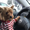 ���� ����, ������� �����, 62 ���� - ��������� 24 ������ 2021 � ������ ���� ����������