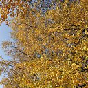 ���� �������, ����������, 54 ���� - ��������� 28 �������� 2020 � ������ ��������