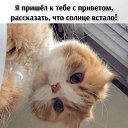 ���� �����, ������ �������� - ��������� 16 ������� 2021 � ������ ���� ����������