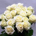 ���� Miasnik, ������, 70 ��� - ��������� 12 ������ 2021 � ������ ������ ��������