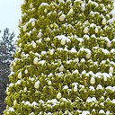 ���� ������, ����������, 45 ��� - ��������� 9 ������ 2021 � ������ ���� ����������