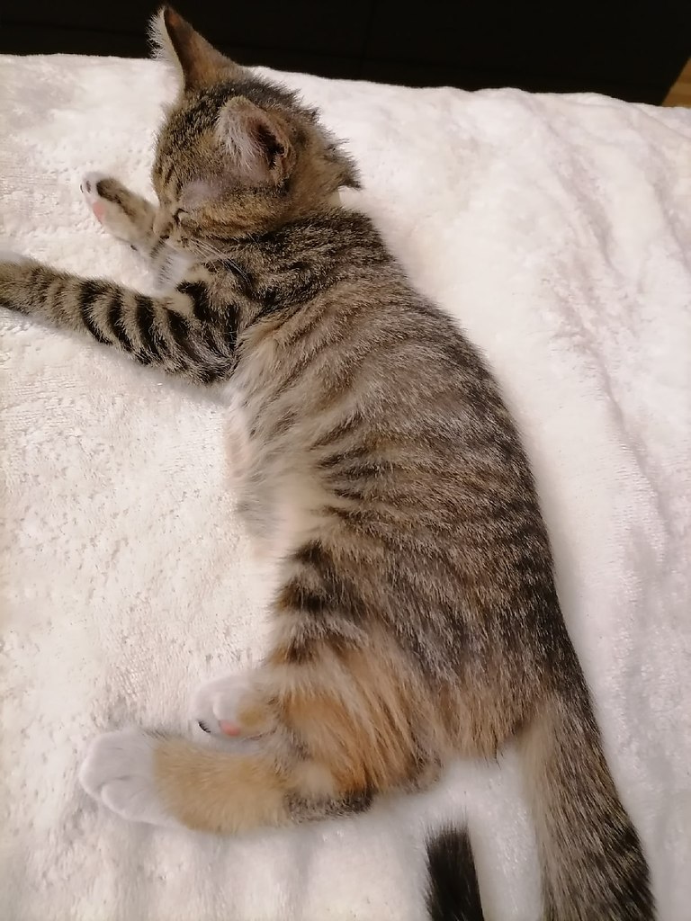 #_.      ,       ... - 2