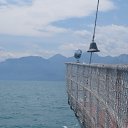  ,  , 50  -  15  2021    