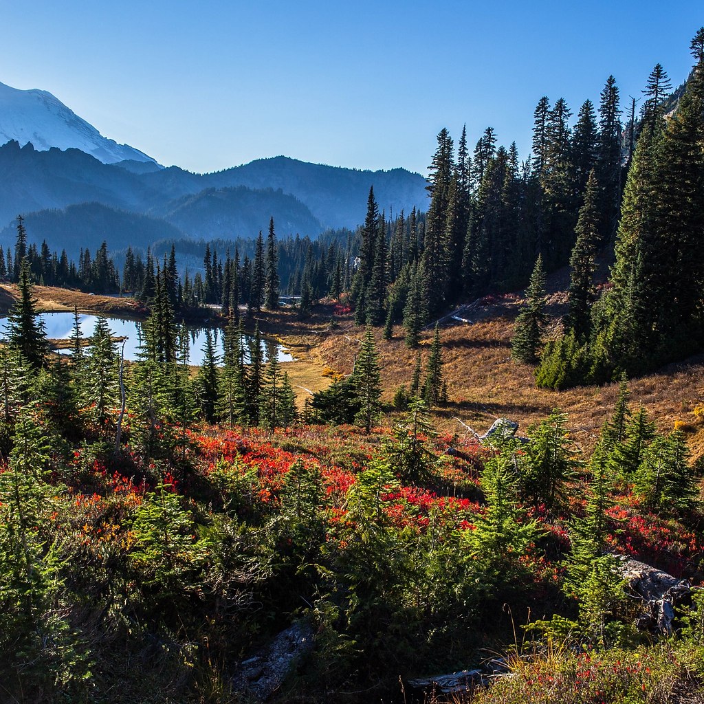 Mt Rainier,    - 2