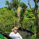 ���� ��������, ������, 71 ��� - ��������� 23 ������ 2021