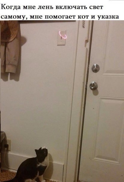 ��� �������� �������� - 21 ����� 2021 � 18:29