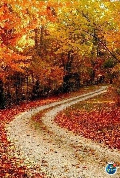 И c кaждoй oceнью я pacцветaю внoвь... А.С. yшкин планета