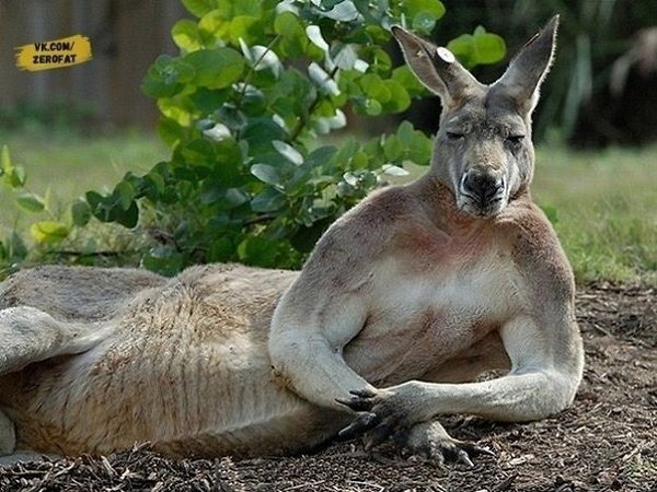 oa  c  p o ap !....  ae e - 5