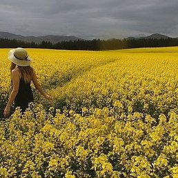 ���� ������, ������, 35 ��� - ��������� 23 ������ 2020