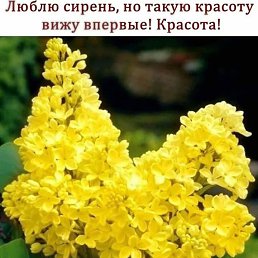 ���� ������, ������ - ��������� 16 ������� 2020