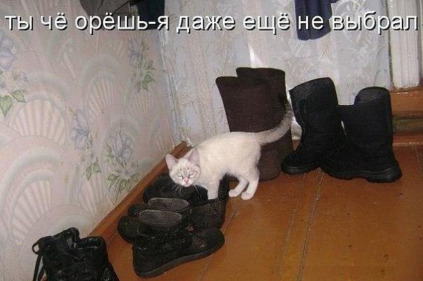    - 6  2021  21:12