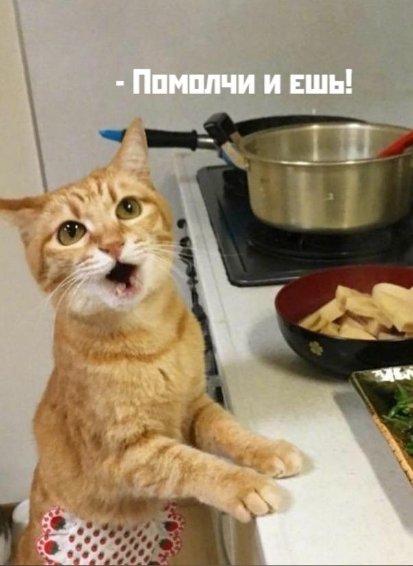       - 29  2020  19:17 - 4