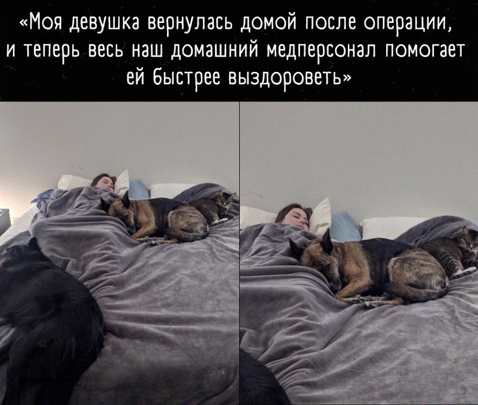 � ���� �������� ������� �� �������� � ���������.
