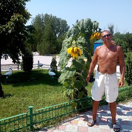 Leonid, , 48 