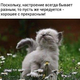 �����, ������������