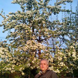 ���������, �����������, 60 ���