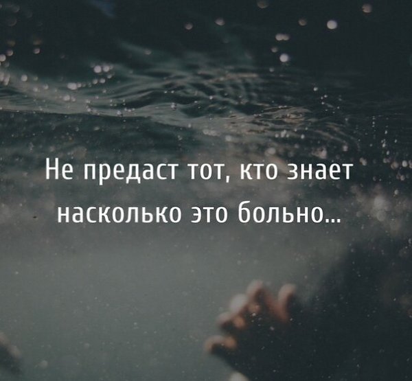 ������� ���� ���������� - 8 ������� 2020 � 19:09