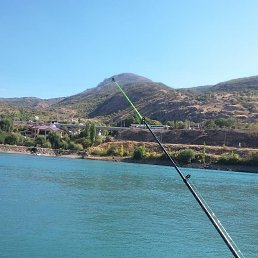 ���� �����, ������, 44 ���� - ��������� 2 ������ 2020