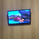 ���� �����, ������, 54 ���� - ��������� 10 ������� 2020 � ������ ���� ����������