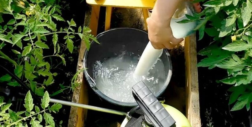 Помощники дачника из обычного продуктового магазина. Оказывается, и в продуктовом отделе обычного ...