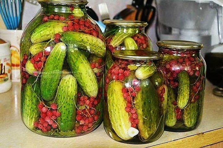 Маринованные огурцы с красной смородиной. .Огурцы - 600 г,вода - 1 л,ягоды красной смородины - 150 ...