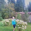 ���� ����, ������� - ��������� 14 �������� 2020 � ������ ���� ����������