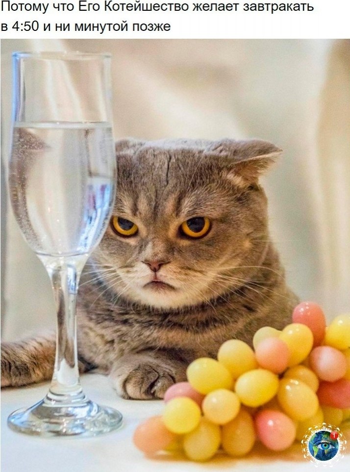 10 p oa e ao oo, o  e e ocaee.)  paa. - 2