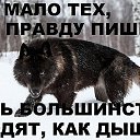 ���� ��������, ���������� �����, 71 ��� - ��������� 4 �������� 2020 � ������ ���� ����������