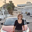 ���� �������, ���-��, 52 ���� - ��������� 26 �������� 2020 � ������ ���� ����������