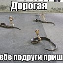 ���� Vovchik, ��������������, 50 ��� - ��������� 11 ������ 2020 � ������ ���� ����������