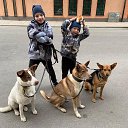  , -, 64  -  18  2021    