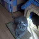 ���� ������ �� ���!, ������ - ��������� 25 ����� 2021 � ������ ������ ��������