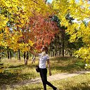 ���� ��������, ����, 63 ���� - ��������� 15 �������� 2020 � ������ ������ ��������