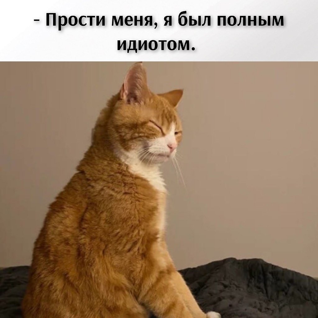       - 24  2021  14:40