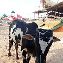 ���� �����, ������������, 61 ��� - ��������� 23 ������ 2021 � ������ ���� ����������