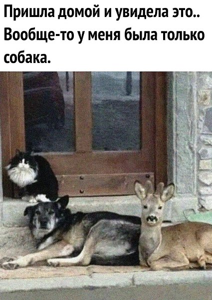 Теперь их трое