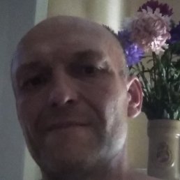 ������, �����, 51 ���