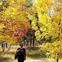 ���� ��������, ����, 63 ���� - ��������� 15 �������� 2020 � ������ ������ ��������