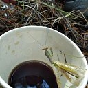 ���� ������ 234, ������ - ��������� 4 ������� 2020 � ������ ���� �������������