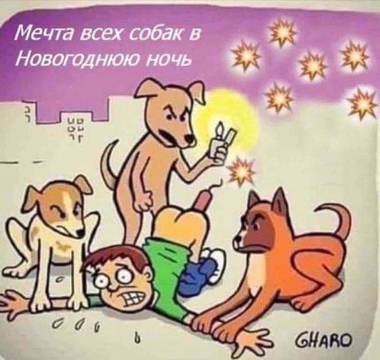  - 6  2021  09:43