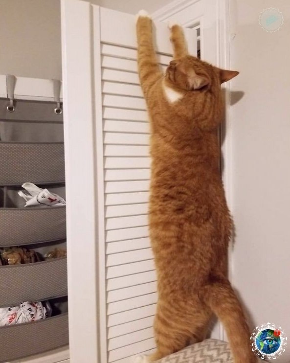 oa  o -   ec co oco po  ... #