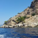 ���� �������, ������ ��������, 54 ���� - ��������� 4 ������� 2020 � ������ ������ 2019�