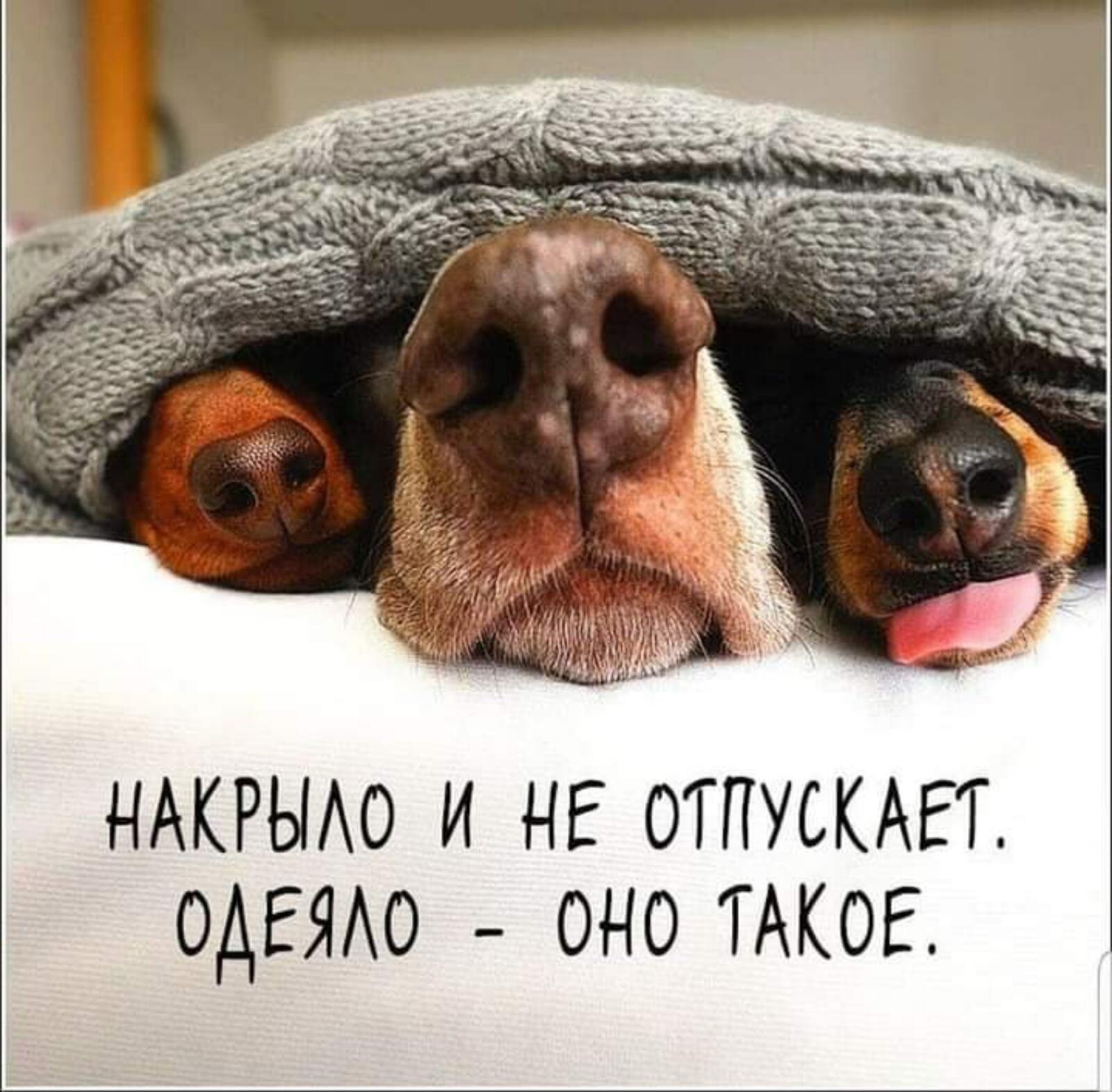 ***Victoria Viktorovna*** - 28  2021  10:14