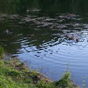  ,  , 60  -  28  2020    