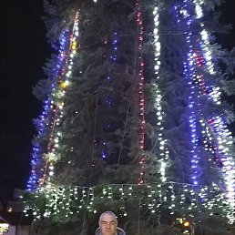 ����, ��������, 63 ����