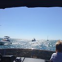 ���� �������, ������ - ��������� 5 �������� 2020 � ������ ���� ����������